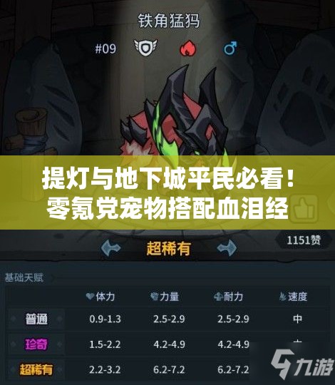 提灯与地下城平民必看！零氪党宠物搭配血泪经验分享