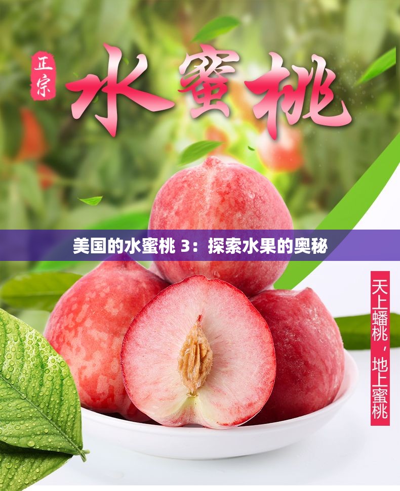 美国的水蜜桃 3：探索水果的奥秘